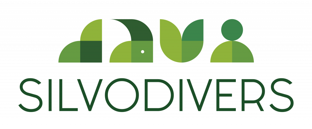 Logo Silvodivers