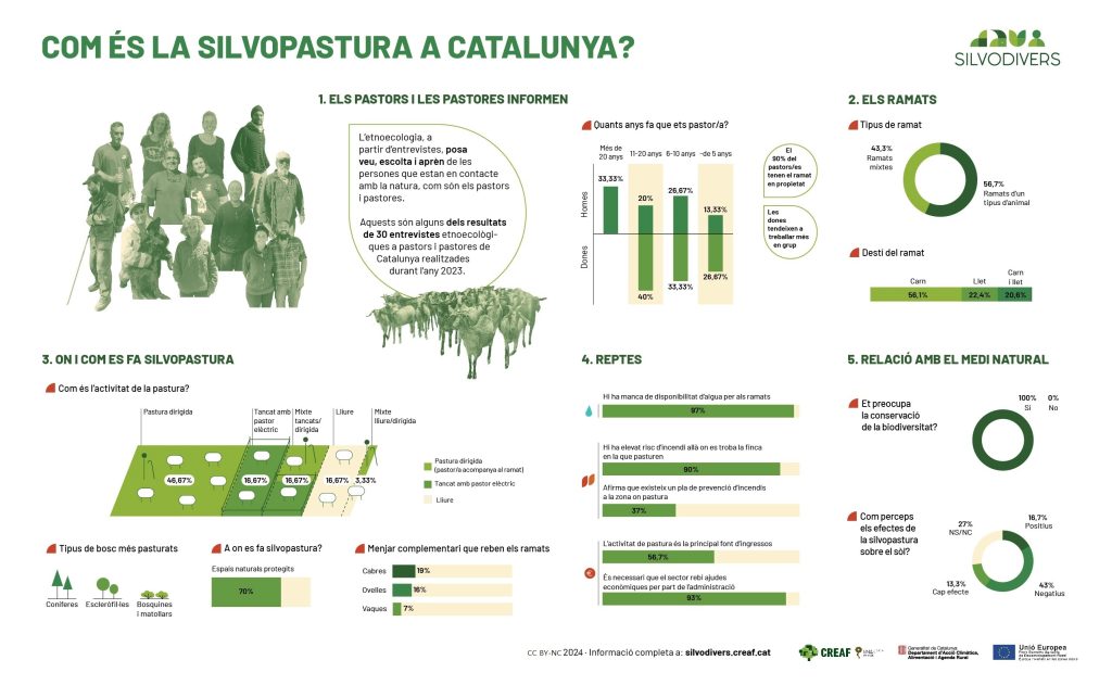 Flyer amb una infografia de l'informe del projecte silvodivers